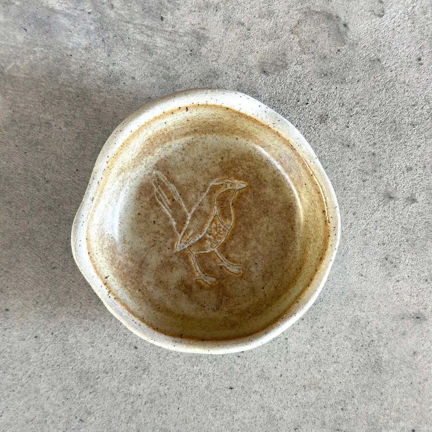 Pocillo Chucao Arena