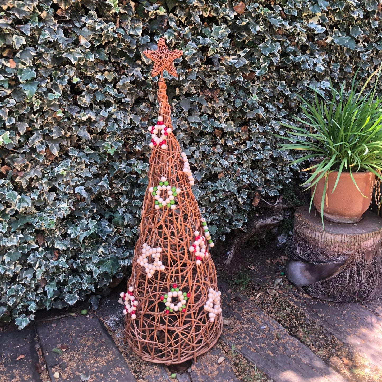 Estrella Navidad Natural